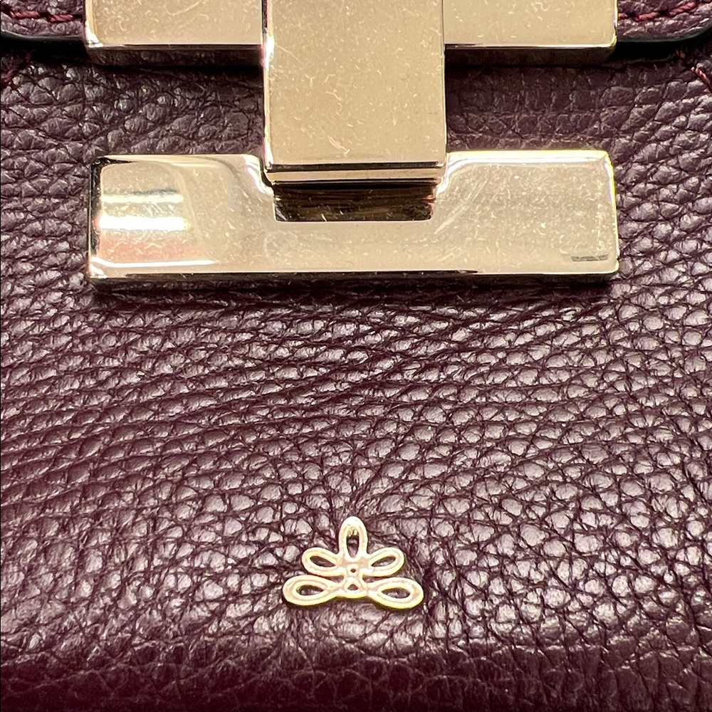 DeMellier Deep Burgundy Crossbody Bag - Picture 4 of 7